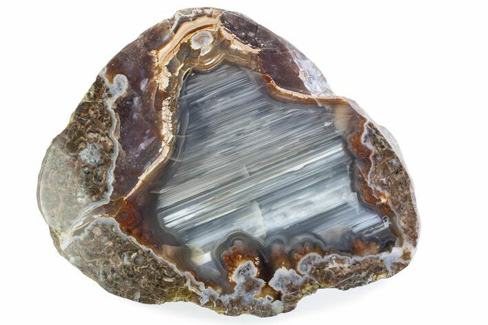 Polished Banded Thunderegg Half - Wiley's Well, California #376183